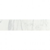 Daltile Marissa Carrara 3 in. x 10 in. Ceramic Bullnose Wall Tile-MA03S4310CC1P2 203213557
