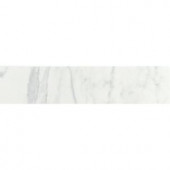Daltile Marissa Carrara 3 in. x 12 in. Ceramic Bullnose Floor and Wall Tile-MA03P43C9CC1P2 203213542