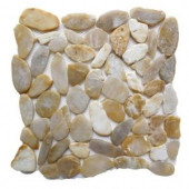 Islander Golden Sapphire 12 in. x 12 in. Sliced Natural Pebble Stone Floor and Wall Tile-20-1-008 205916327