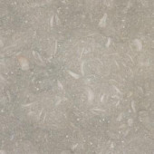 MS International Nova Verde 18 in. x 18 in. Honed Limestone Floor and Wall Tile (13.5 sq. ft. / case)-TNOVVER1818H 202508396