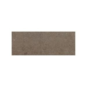 Daltile City View Neighborhood Park 3 in. x 12 in. Porcelain Bullnose Floor and Wall Tile-CY05S43C91P1 202611443