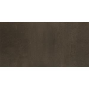 Emser Cosmopolitan Earth 12 in. x 24 in. Porcelain Floor and Wall Tile (11.64 sq. ft. / case)-1092955 205749237