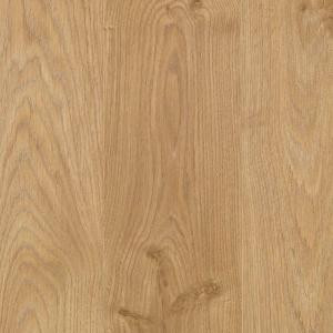 Home Decorators Collection Natural Worn Oak 8 mm Thick x 6-1/8 in. Wide x 54-11/32 in. Length Laminate Flooring (23.17 sq. ft. / case)-HDC602 204853187
