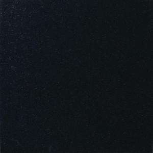 MS International Absolute Black 18 in. x 18 in. Polished Granite Floor and Wall Tile (9 sq. ft. / case)-TABSBLK1818 202508271