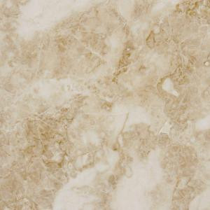 MS International Cappuccino 12 in. x 12 in. Polished Marble Floor and Wall Tile (10 sq. ft. / case)-TTCAPU1212P 202508303