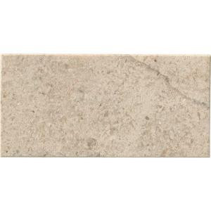 MS International Coastal Sand 3 in. x 6 in. Honed Limestone Floor and Wall Tile (1 sq. ft. / case)-CCOASAN36H 205995845