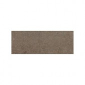 Daltile City View Neighborhood Park 3 in. x 12 in. Porcelain Bullnose Floor and Wall Tile-CY05S43C91P1 202611443