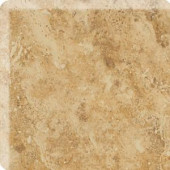 Daltile Heathland Amber 3 in. x 3 in. Glazed Ceramic Bullnose Corner Wall Tile-HL03SN43091P2 203719544