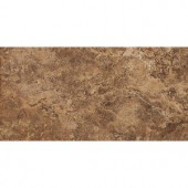 Daltile Palatina Olympus Brown 12 in. x 24 in. Porcelain Floor and Wall Tile (15.38 sq. ft. / case)-PT971224S1P 203719187