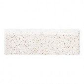 Daltile Semi-Gloss Golden Granite 2 in. x 6 in. Ceramic Bullnose Wall Tile-0138S42691P2 202629842
