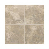 Daltile Stratford Place Dorian Gray 18 in. x 18 in. Ceramic Floor and Wall Tile (18 sq. ft. / case)-SD9418181P2 202666557