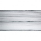 Emser Metro White 4 in. x 10 in. Marble Floor and Wall Tile-1154642 204765735