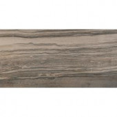 Emser Motion Signal 12 in. x 24 in. Porcelain Floor and Wall Tile (11.64 sq. ft. / case)-1143513 205749228