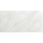 Emser Paladino Albanella Polished 12 in. x 24 in. Porcelain Floor and Wall Tile (15.44 sq. ft. / case)-1067127 204736456