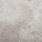 Emser Silver 18 in. x 18 in. Marble Floor and Wall Tile-1165886 204765760