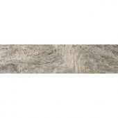 Emser Travertine Silver Veincut, Filled and Honed 6 in. x 24 in. Travertine Floor and Wall Tile-962226 204768220
