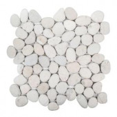 Jeffrey Court Pebble Sand 12 in. x 12 in. x 20 mm Pebble Mosaic Tile-99254 207084028