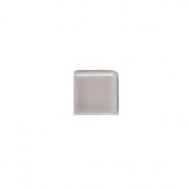 Jeffrey Court Weather Grey 2 in. x 2 in. Ceramic Double Bullnose Trim Tile-96039 300426798