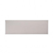 Jeffrey Court Weather Grey 4 in. x 12 in. Ceramic Wall Tile (10.33 sq. ft. / case)-96048 300427094