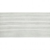 MONO SERRA Silk Steel 12 in. x 24 in. Porcelain Floor and Wall Tile (16.68 sq. ft. / case)-9615 206706750