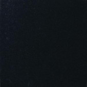 MS International Absolute Black 12 in. x 12 in. Polished Granite Floor and Wall Tile (10 sq. ft. / case)-TABSBLK1212 202508270