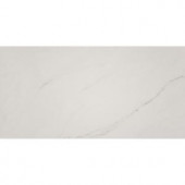MS International Aria Ice 12 in. x 24 in. Polished Porcelain Floor and Wall Tile (16 sq. ft. / case)-NARICE1224P 300678075