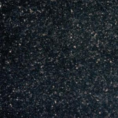 MS International Black Galaxy 18 in. x 18 in. Polished Granite Wall Tile (9 sq. ft. / case)-TBLKGXY1818 202508262