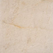 MS International Coastal Sand 18 in. x 18 in. Honed Limestone Floor and Wall Tile (9 sq. ft. / case)-CCOASAN1818H 206088879