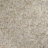 MS International Gold Rush 12 in. x 12 in. Polished Granite Floor and Wall Tile (5 sq. ft. / case)-TGLDRUS1212 202508275