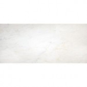 MS International Greecian White 12 in. x 24 in. Polished Marble Floor and Wall Tile (10 sq. ft. / case)-THDVENWHT1224 202919771