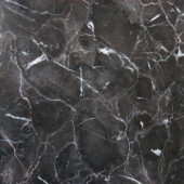 MS International Laurent Brown 18 in. x 18 in. Polished Marble Floor and Wall Tile (11.25 sq. ft. / case)-TCLAUBRN1818 204701838