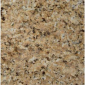 MS International St. Helena Gold 12 in. x 12 in. Polished Granite Floor and Wall Tile (10 sq. ft. / case)-THELGLD1212 202508264