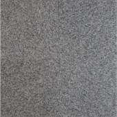 MS International White Sparkle 12 in. x 12 in. Polished Granite Floor and Wall Tile (5 sq. ft. / case)-TBIACTLN1212 202508260
