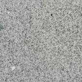 MS International White Sparkle 12 In. x 12 In. Polished Granite Floor and Wall Tile (5 sq. ft. / case)-THDBIACAT1212 202194771