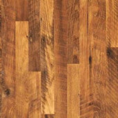 Pergo XP Homestead Oak Laminate Flooring - 5 in. x 7 in. Take Home Sample-PE-735347 205856828