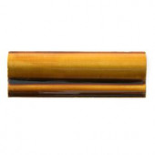 Solistone Hand-Painted Tangerine Orange 2 in. x 6 in. Ceramic Chair Rail Trim Wall Tile-TANGERINE-CR 206075270