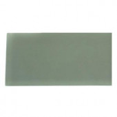 Splashback Tile Contempo Seafoam Frosted Glass Mosaic Floor and Wall Tile - 3 in. x 6 in. x 8 mm Tile Sample-L5B7 203218022