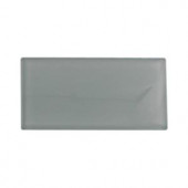 Splashback Tile Contempo Seafoam Polished Glass Tile - 3 in. x 6 in. x 8 mm Tile Sample-L7C7 GLASS TILE 203288380