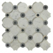Splashback Tile Steppe Sanddun 12 in. x 12 in. x 10 mm Carrera Blend Polished Marble Waterjet Mosaic Tile-STPSNDUNCRA 206705815